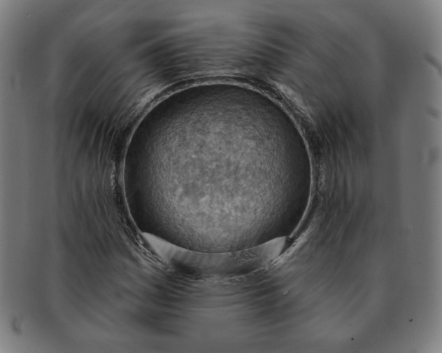 X0000090981161200708241356