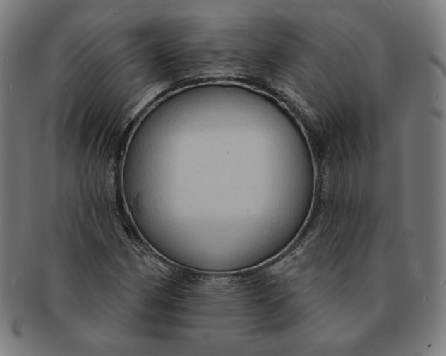 X0000090981162200708241356