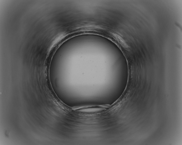 X0000090981164200708241356