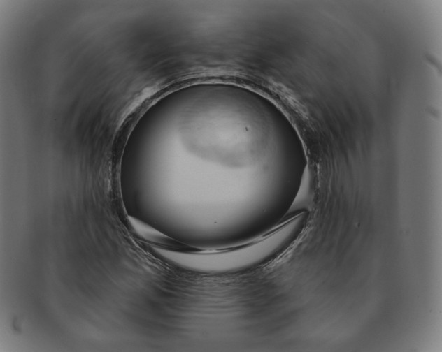 X0000090981165200708241356