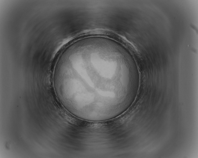 X0000090981166200708241356