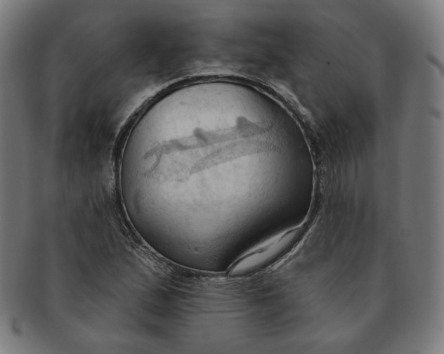 X0000090981167200708241356