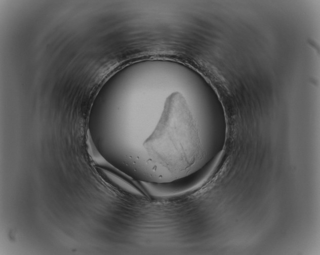 X0000090981169200708241356