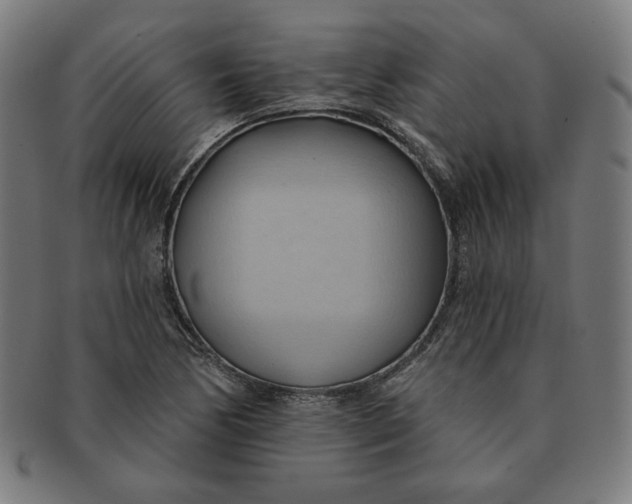 X0000090981170200708241356