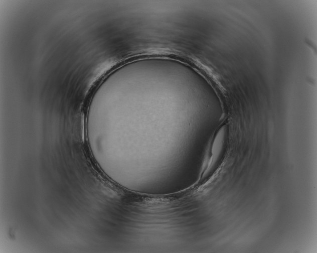 X0000090981171200708241356