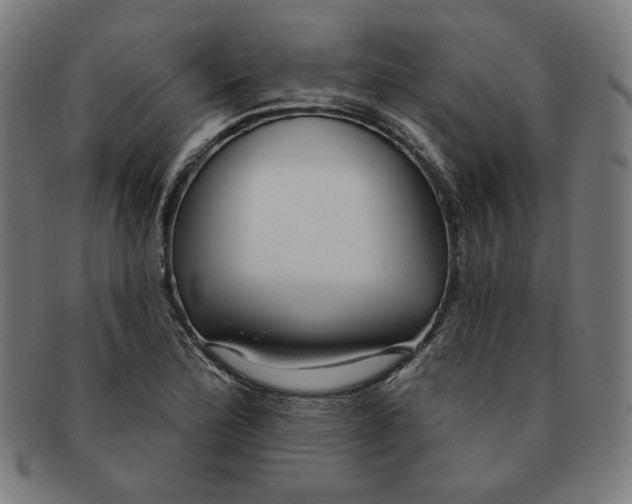 X0000090981172200708241356