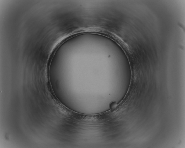 X0000090981174200708241356