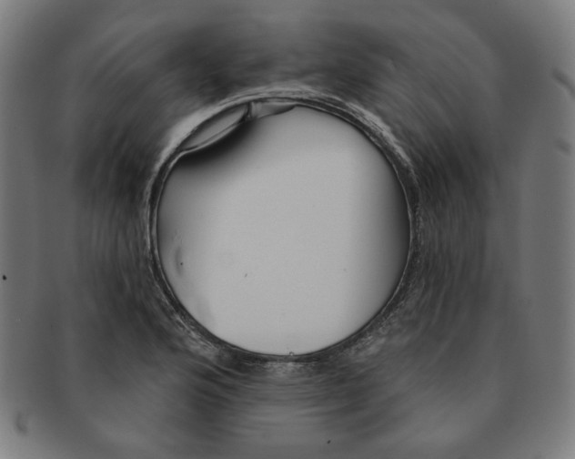 X0000090981176200708241356