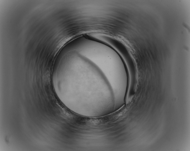 X0000090981177200708241356