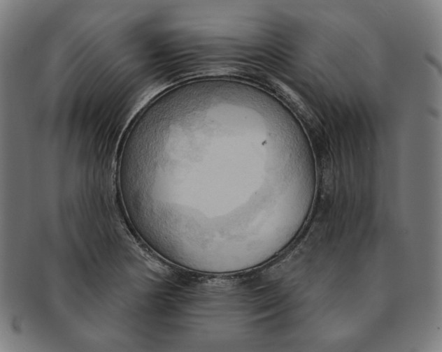 X0000090981178200708241356