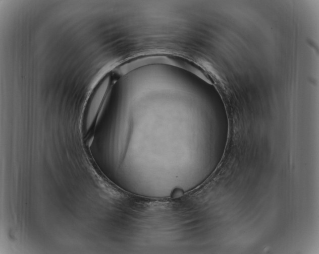 X0000090981181200708241356