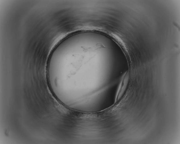 X0000090981183200708241356