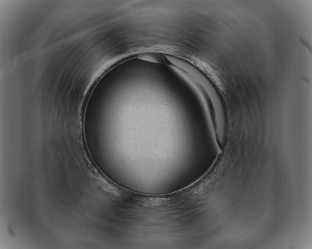 X0000090981184200708241356