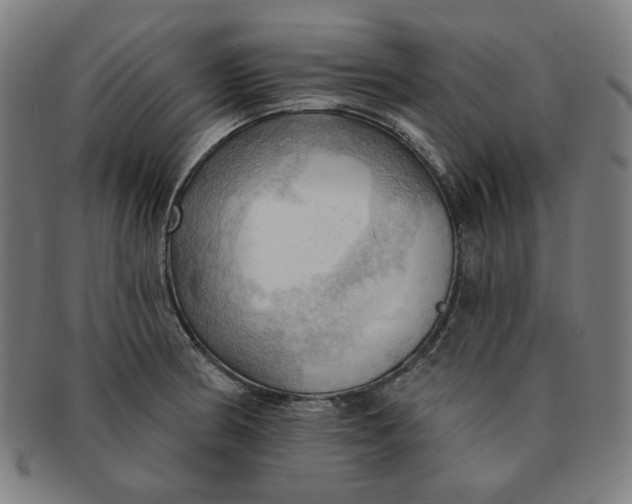 X0000090981186200708241356