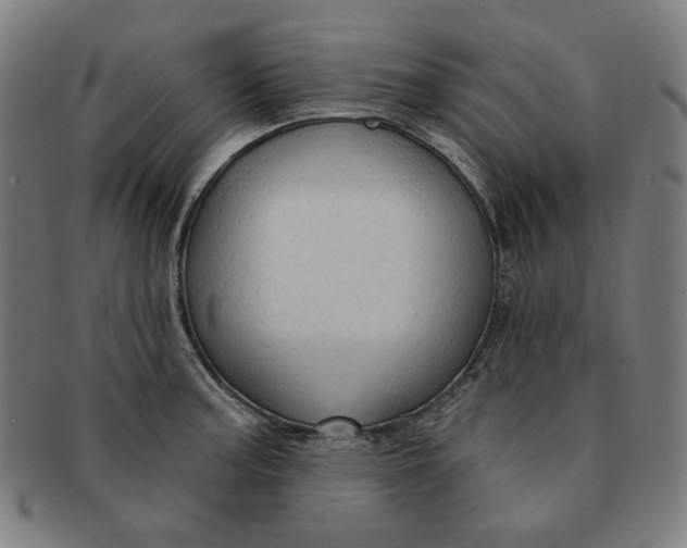 X0000090981187200708241356