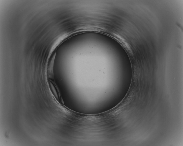 X0000090981188200708241356