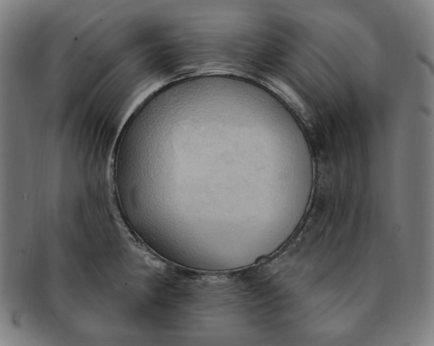 X0000090981190200708241356