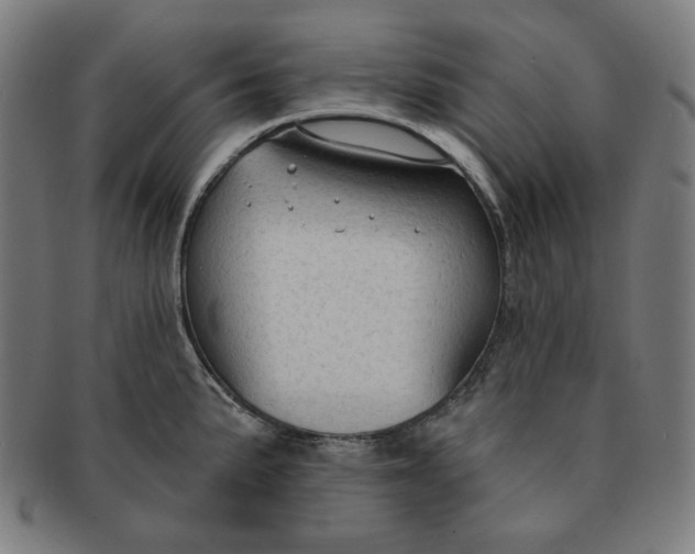 X0000090981191200708241356