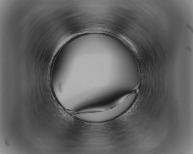 X0000090981192200708241356
