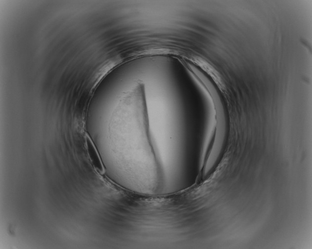 X0000090981193200708241356