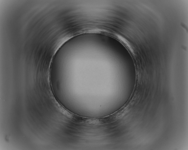X0000090981194200708241356