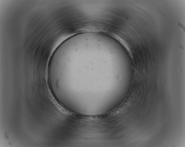 X0000090981195200708241356