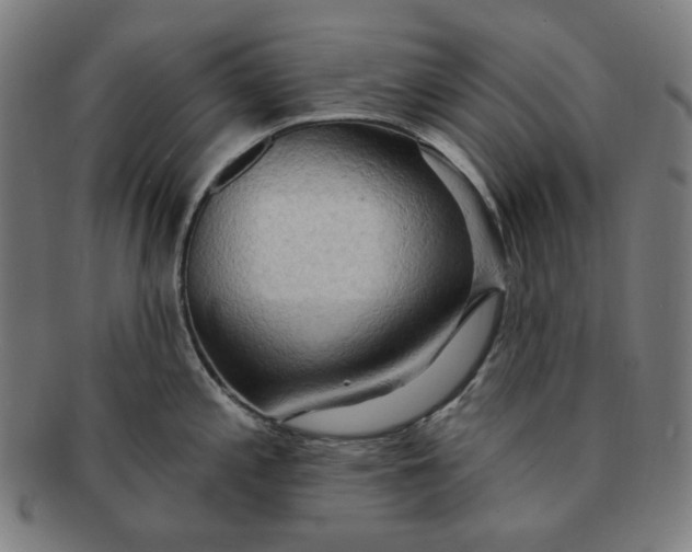 X0000090981197200708241356