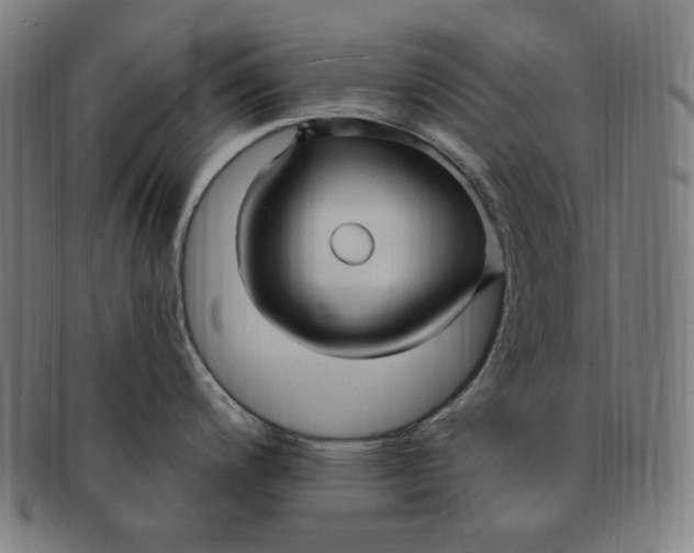 X0000090981200200708241356