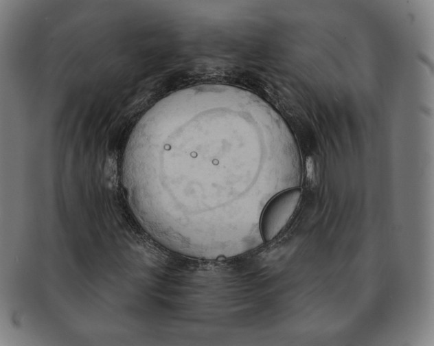 X0000090981203200708241355