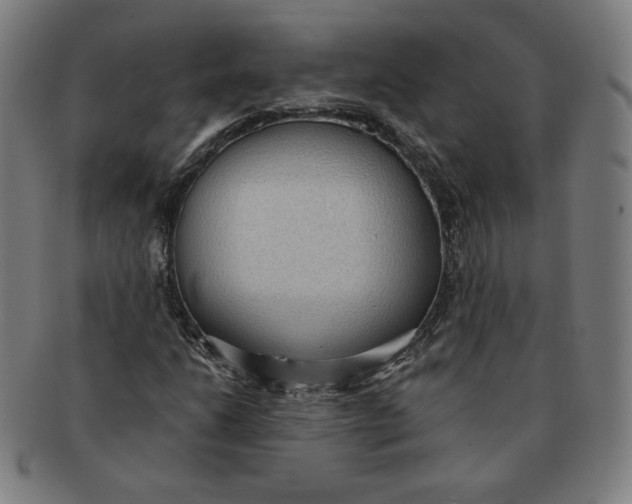 X0000090981206200708241355