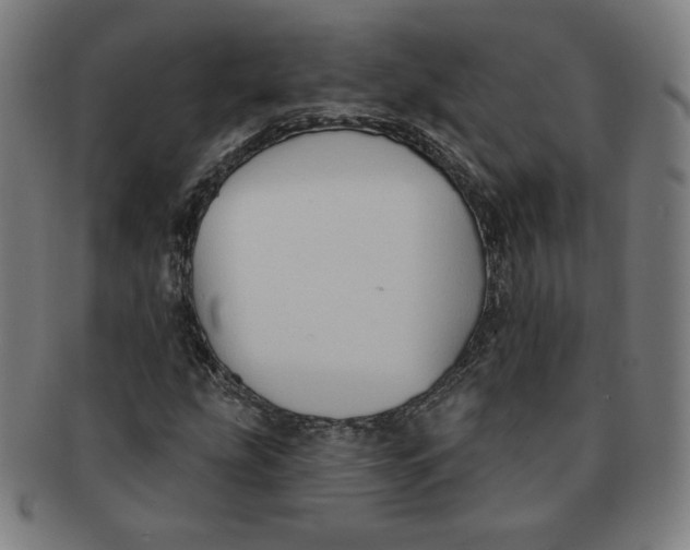 X0000090981207200708241355