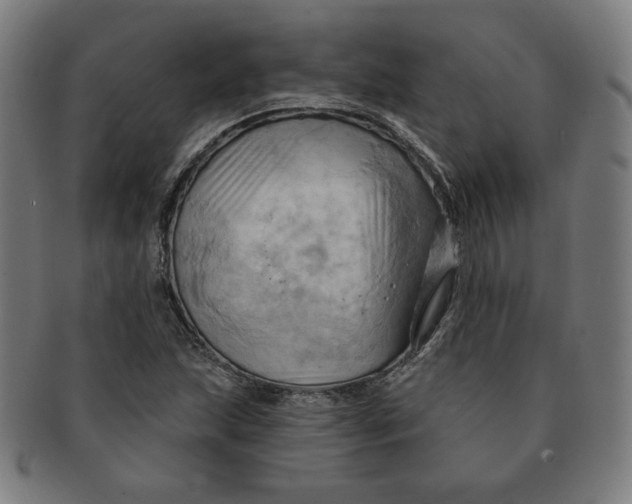 X0000090981215200708241355