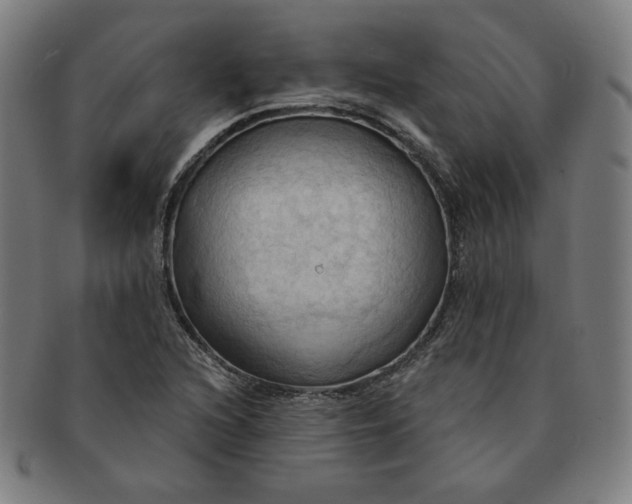 X0000090981216200708241355