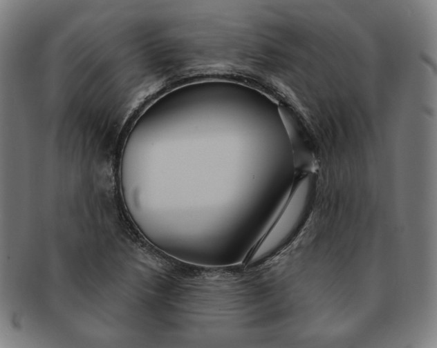 X0000090981218200708241355