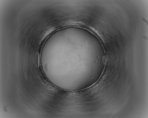 X0000090981219200708241355