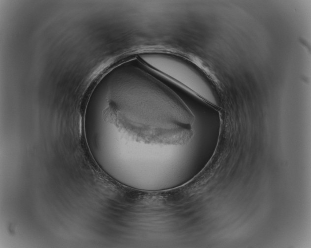 X0000090981221200708241355