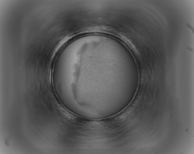 X0000090981224200708241356