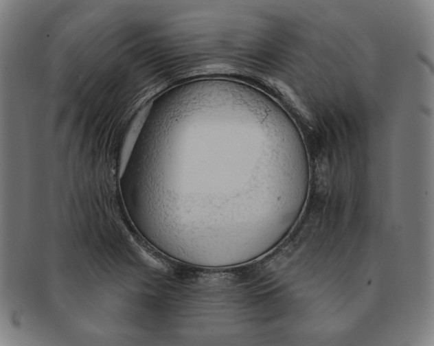 X0000090981225200708241356
