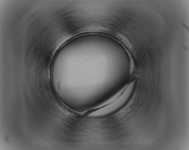 X0000090981226200708241356