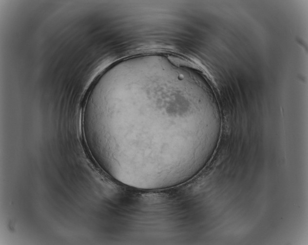 X0000090981227200708241356