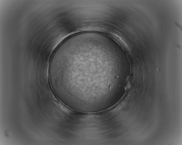 X0000090981228200708241356