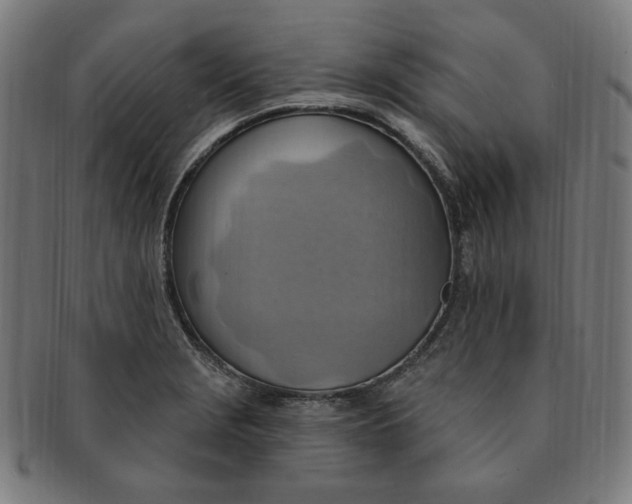 X0000090981229200708241356
