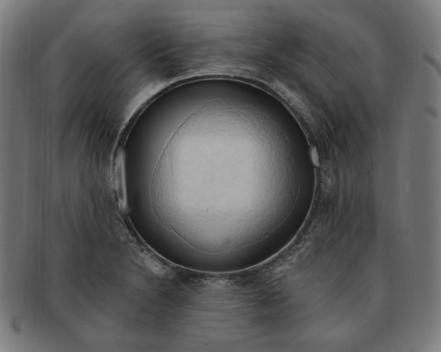 X0000090981230200708241356