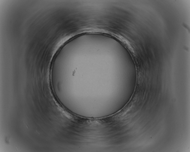 X0000090981231200708241356