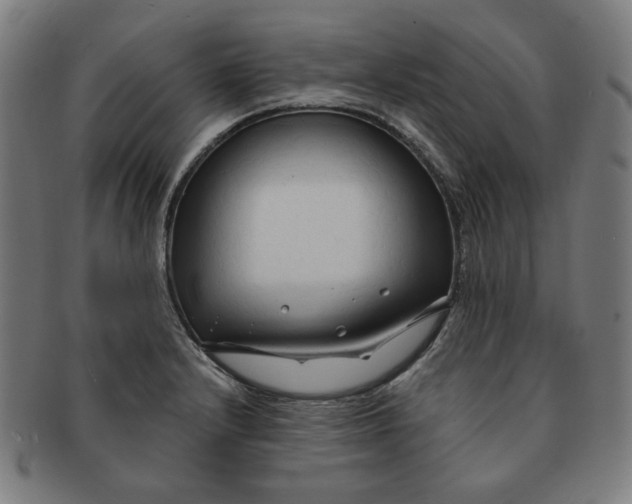 X0000090981232200708241356