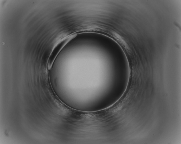 X0000090981234200708241356