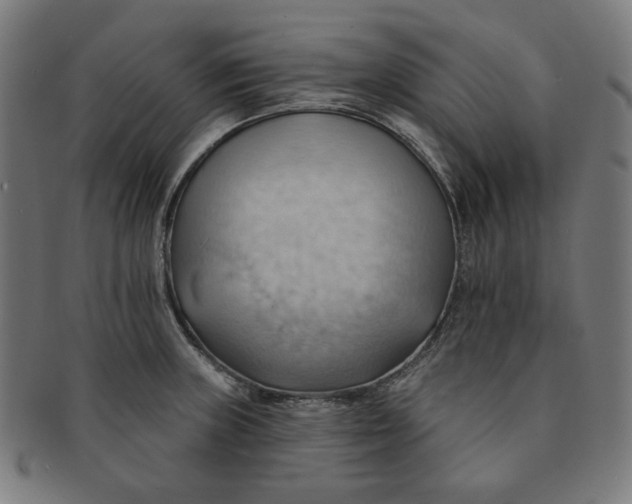 X0000090981235200708241356