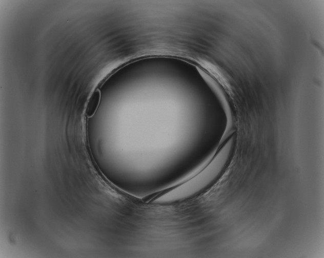 X0000090981238200708241356