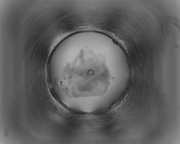 X0000090981239200708241356