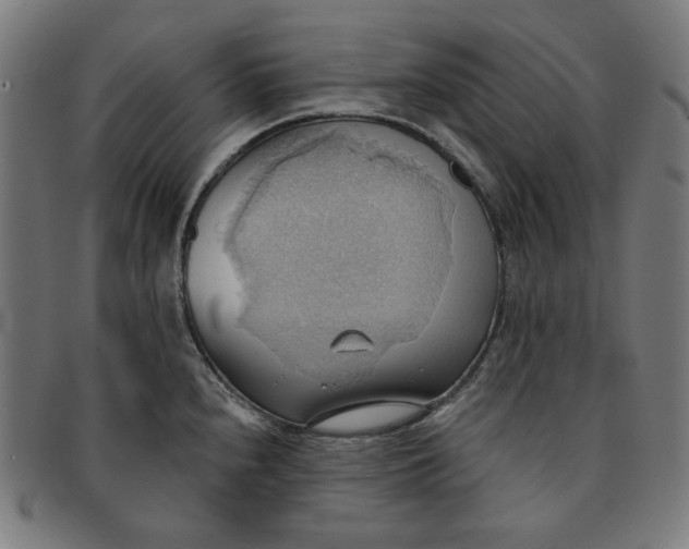 X0000090981240200708241356